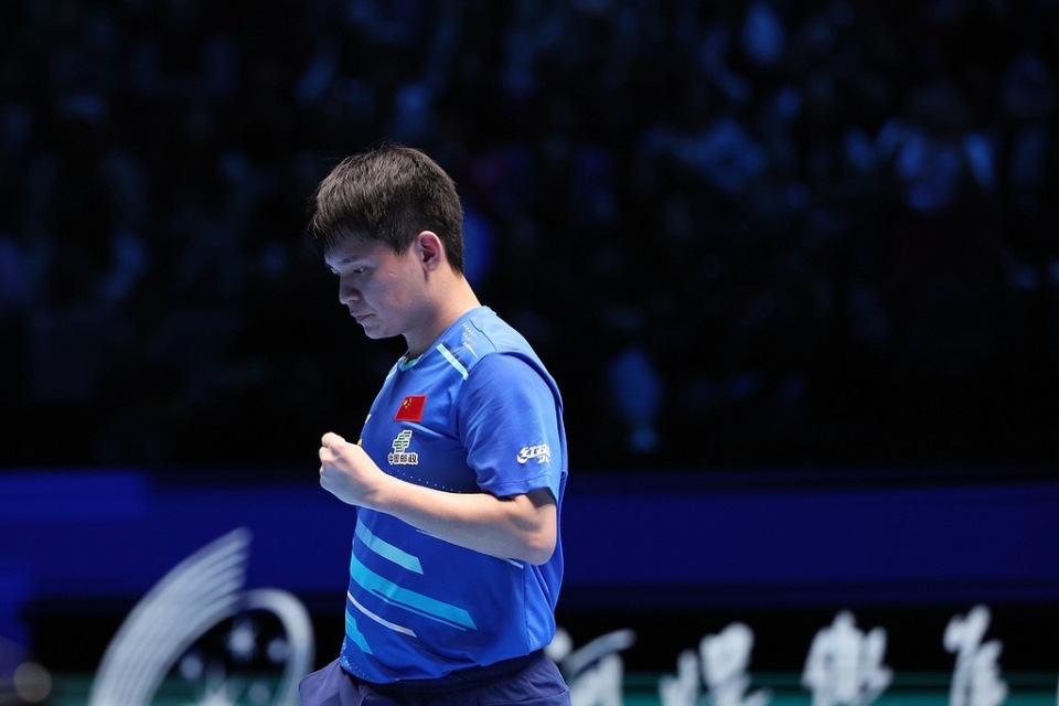 都有极强的 都有极强的